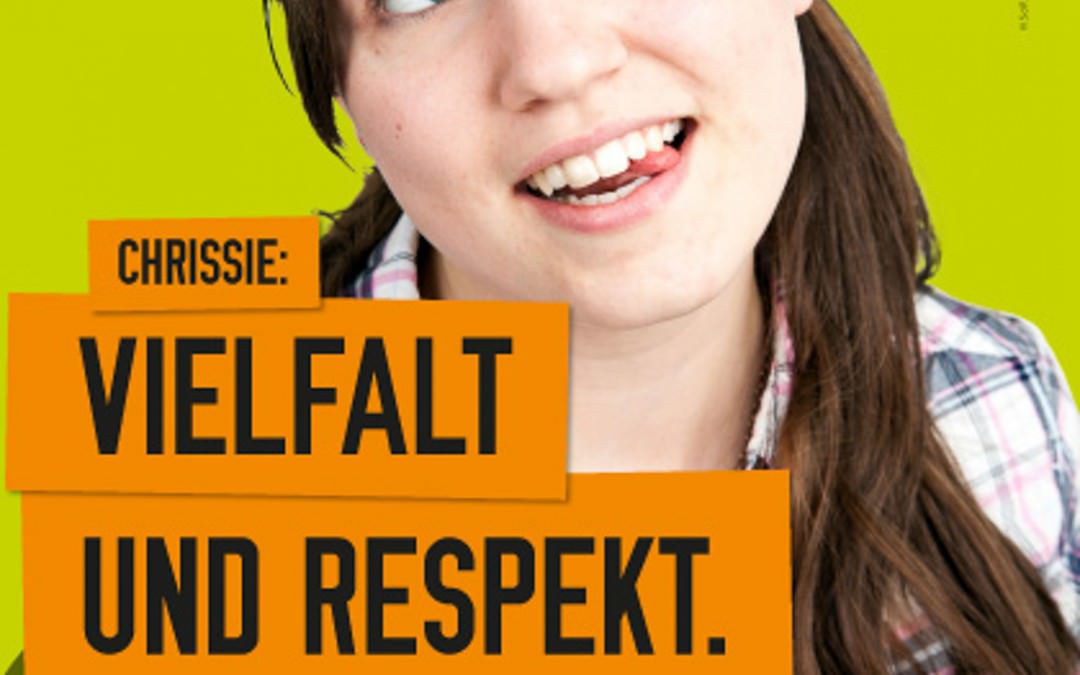 Wahlplakate der Piraten Partei NRW 2012